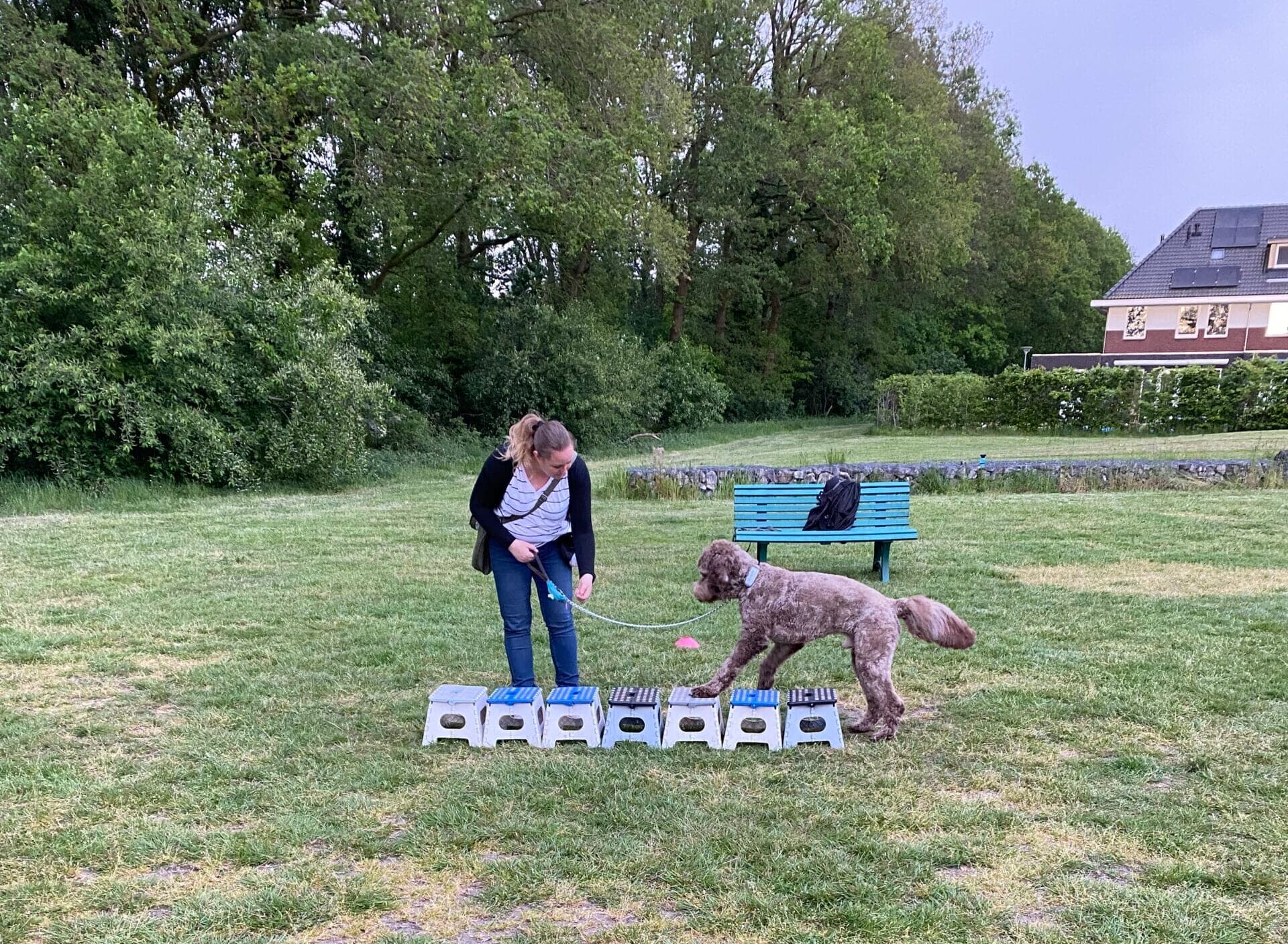 Belang van balans en coördinatie voor je hond