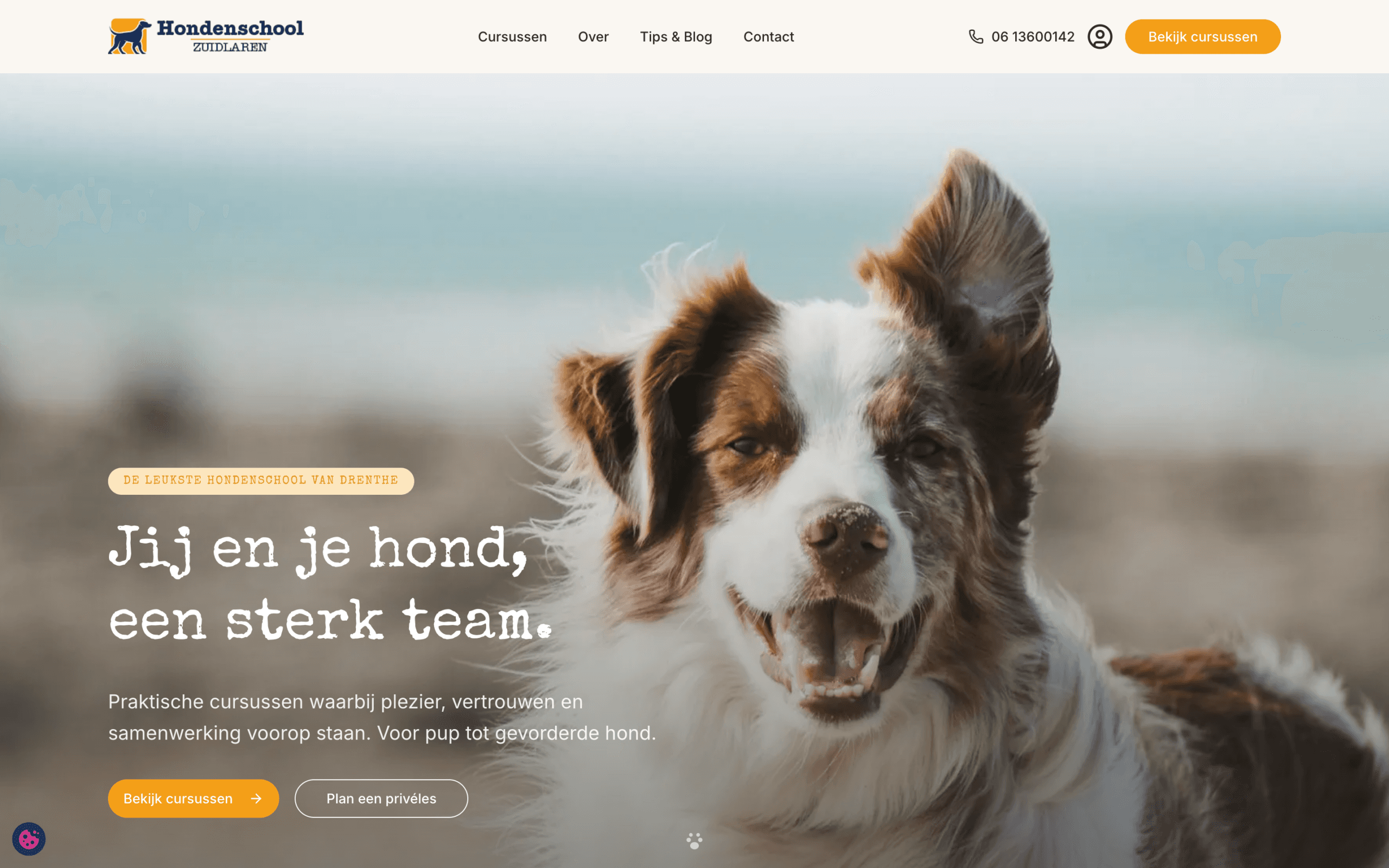 Onze nieuwe online omgeving is live
